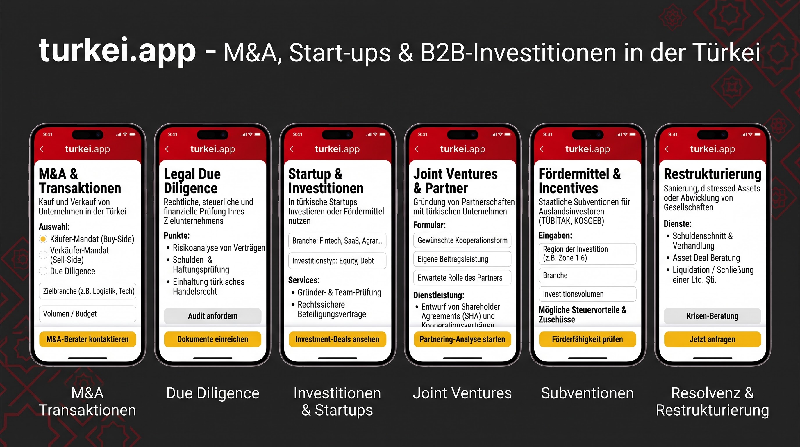 M&A, Start-ups & B2B-Investitionen